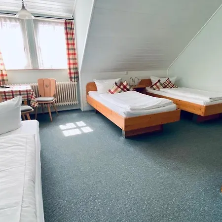 Sonnenhof Zur Altenburg 호텔 2*