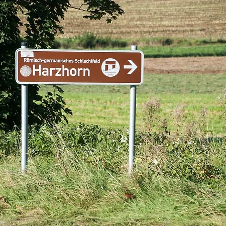 Sonnenhof Zur Altenburg 2*